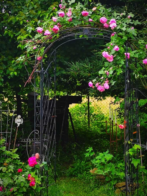 Pár fotografií z nádherné romantické zahrady naší milé zákaznice.